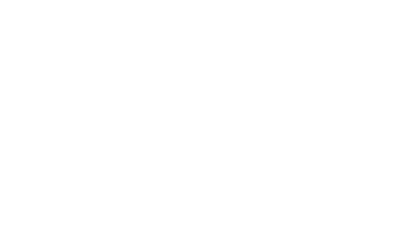 light logo